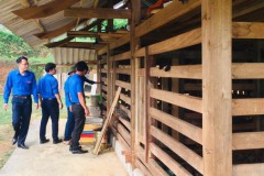 luu-ban-nhap-tu-dong-12